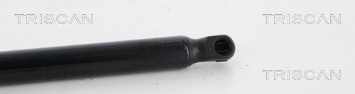 Triscan 8710 18226 Gasfeder, Koffer-/Laderaum