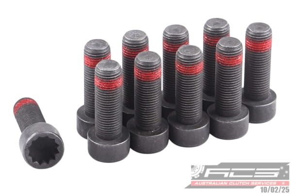 BOLT SET F/W VW 10x1.0x29 (10) 73Nm - TecDoc Only