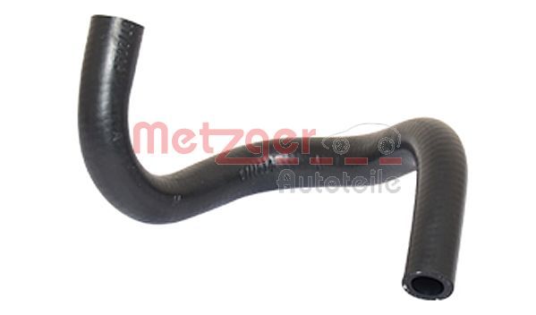 Radiator Hose 2420227