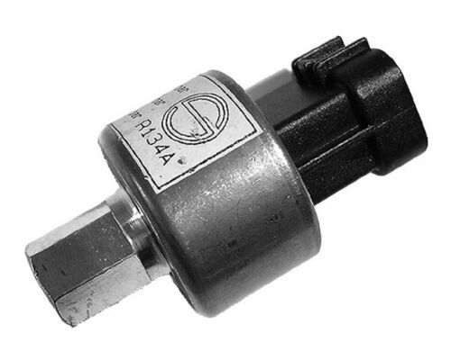 297756425.JPG