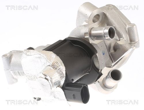 8813 14006 TRISCAN AGR-szelep