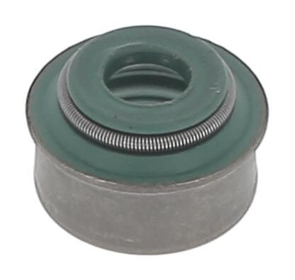 Payen PA565 Dichtring, Ventilschaft