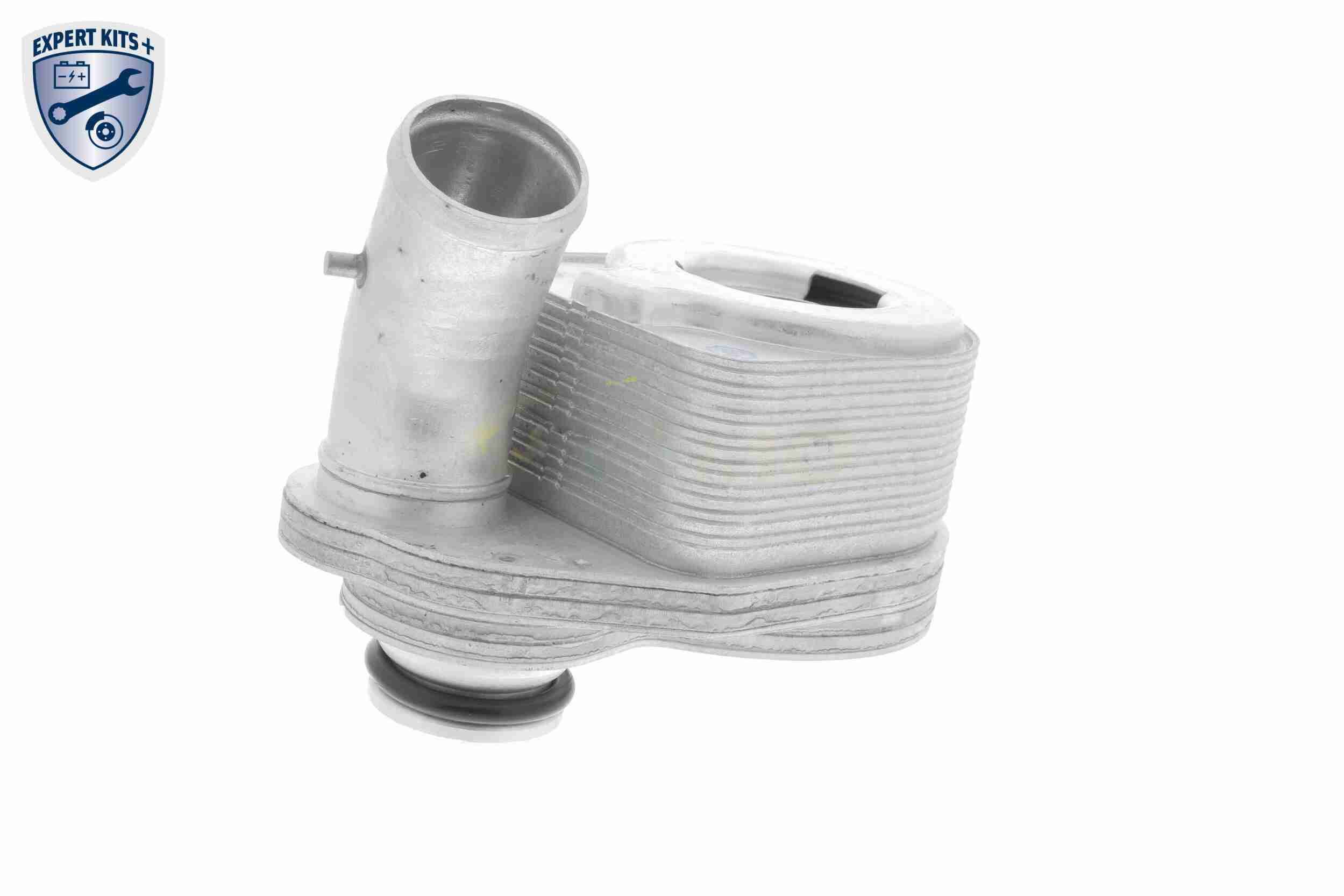 &Ouml;lk&uuml;hler, Motor&ouml;l