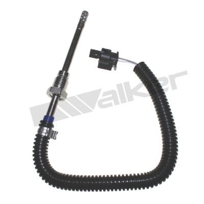 Sensor, de temperatura de gas de escape