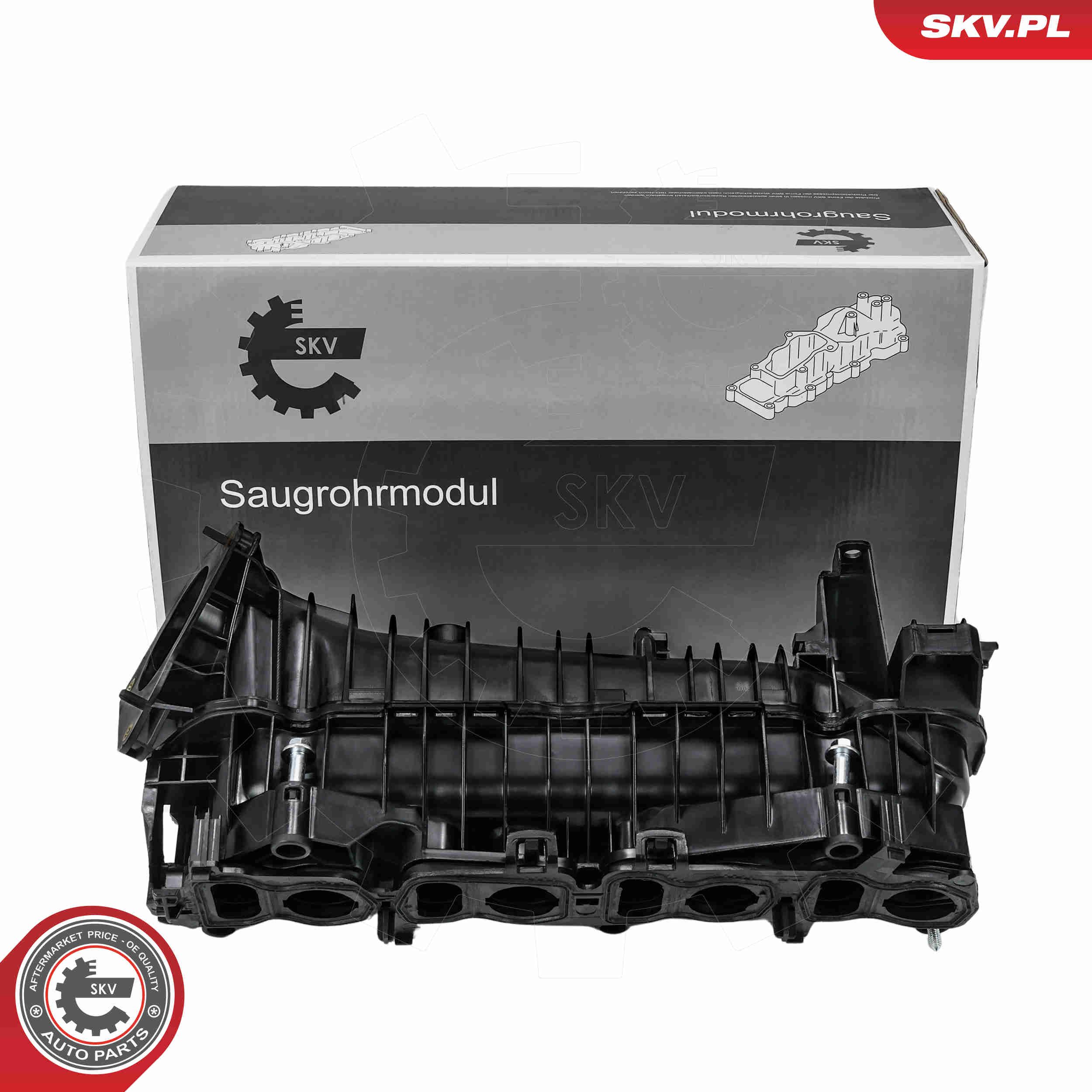 49SKV094 ESEN SKV szívócső modul