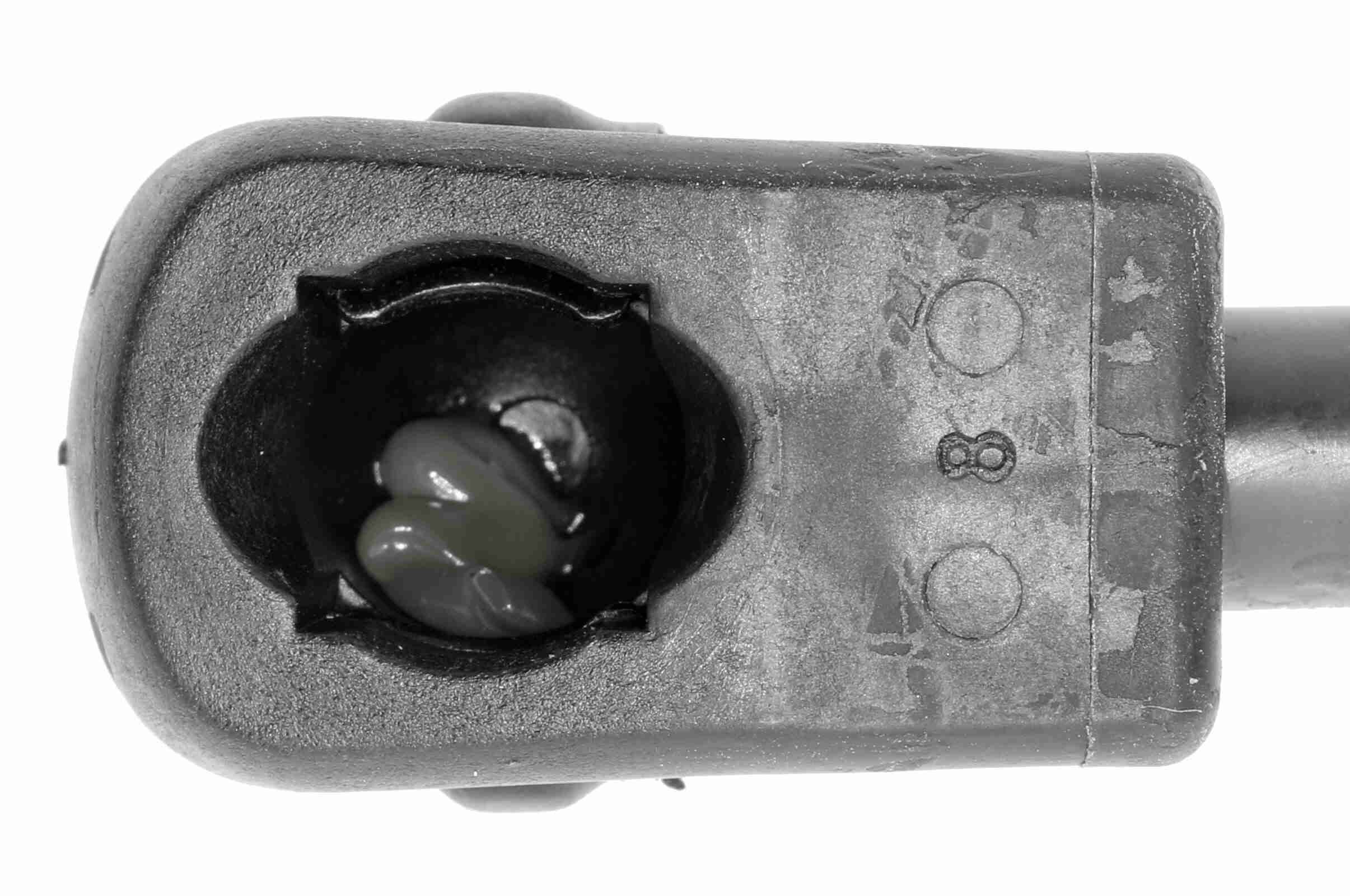 Gasfeder, Koffer-/Laderaum Gasfeder, Koffer-/Laderaum