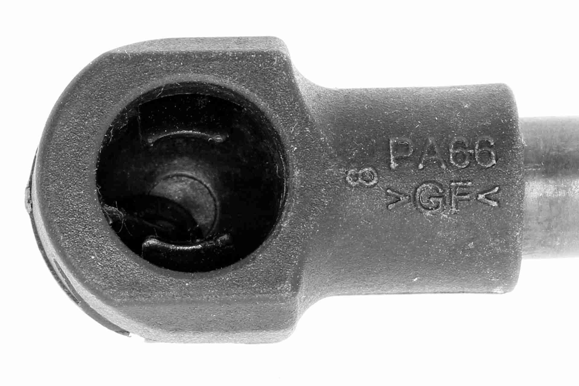 Gasfeder, Koffer-/Laderaum