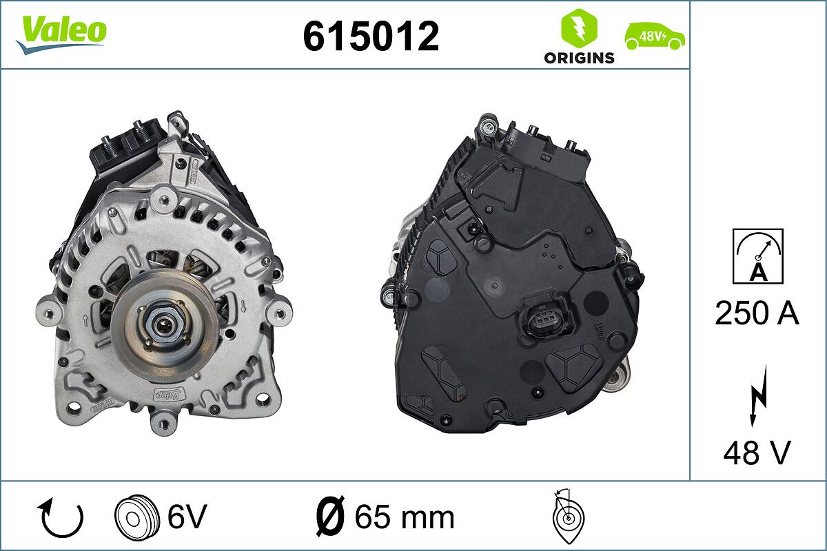 ALTERNATOR-STARTER_615012_50.JPG
