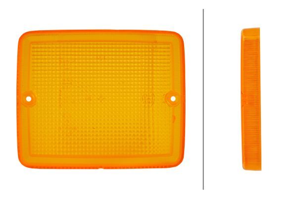 Lichtscheibe, Blinkleuchte