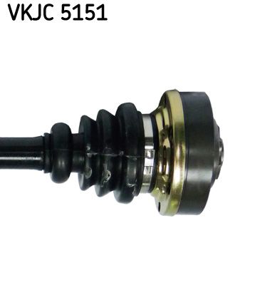 VKJC 5151_3.JPG