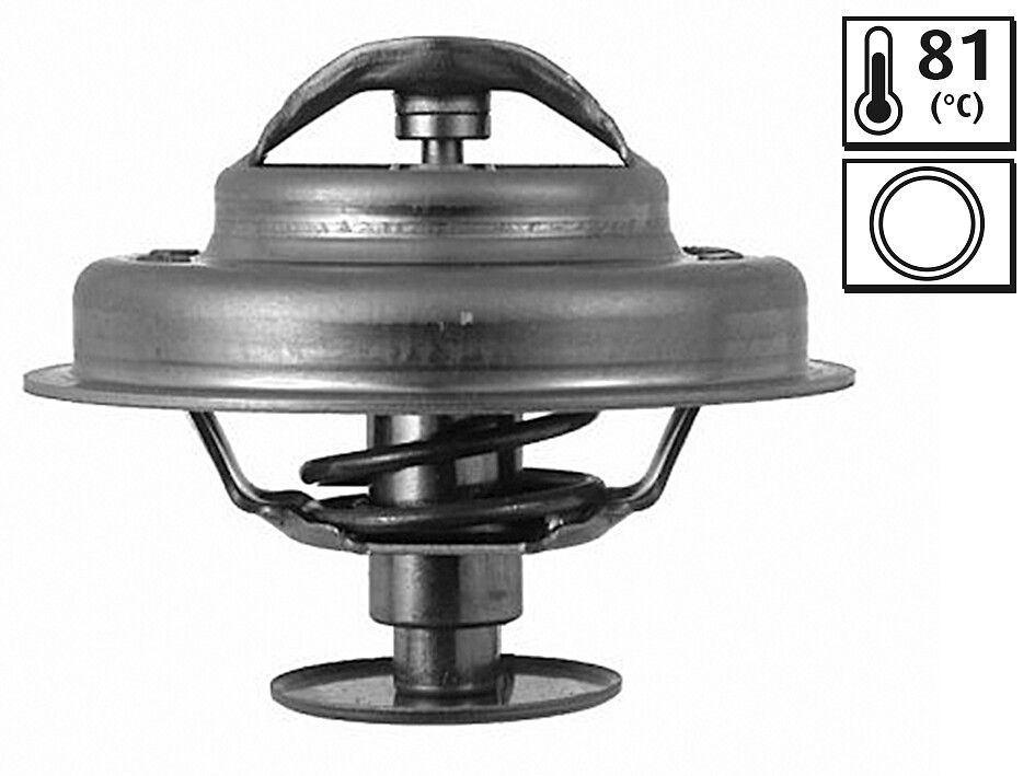 Thermostat, Kühlmittel