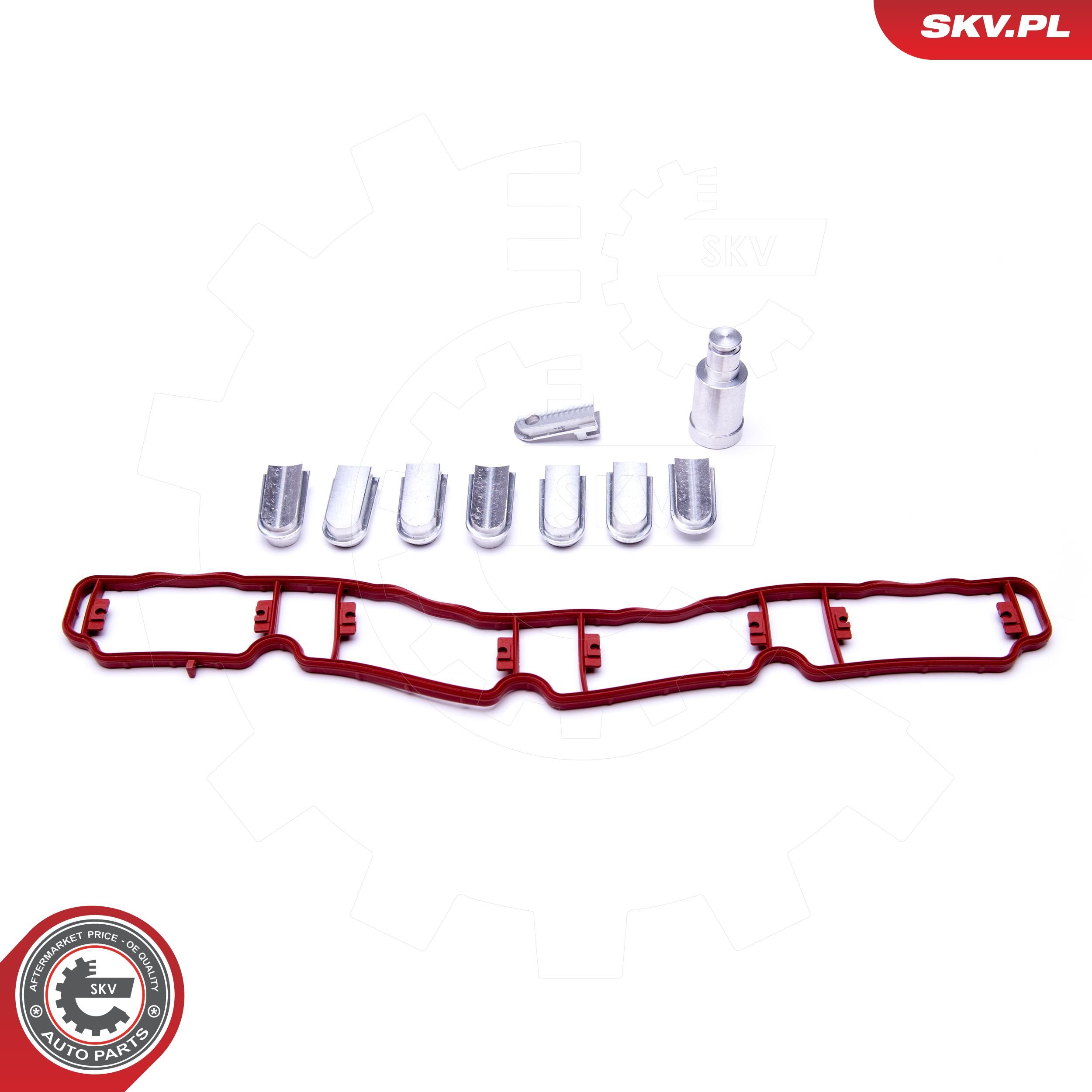 ESEN SKV 49SKV521 - Reparatursatz, Saugrohrmodul