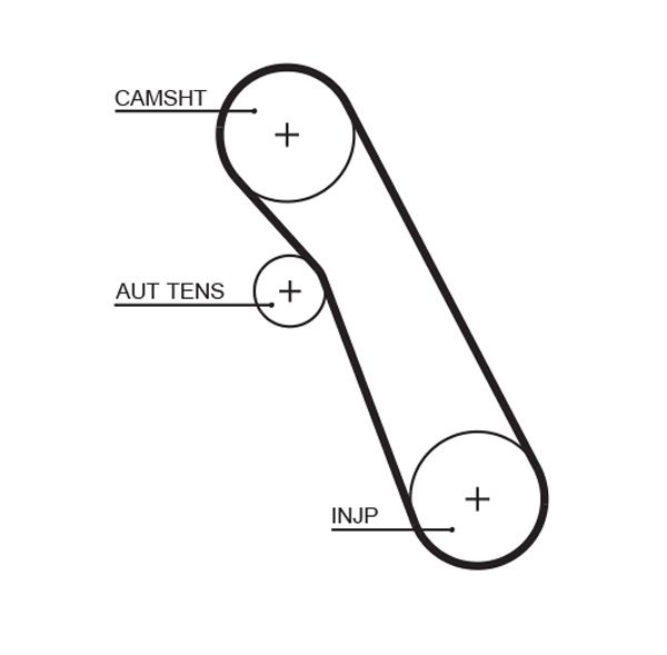 Timing Belt 5541XS