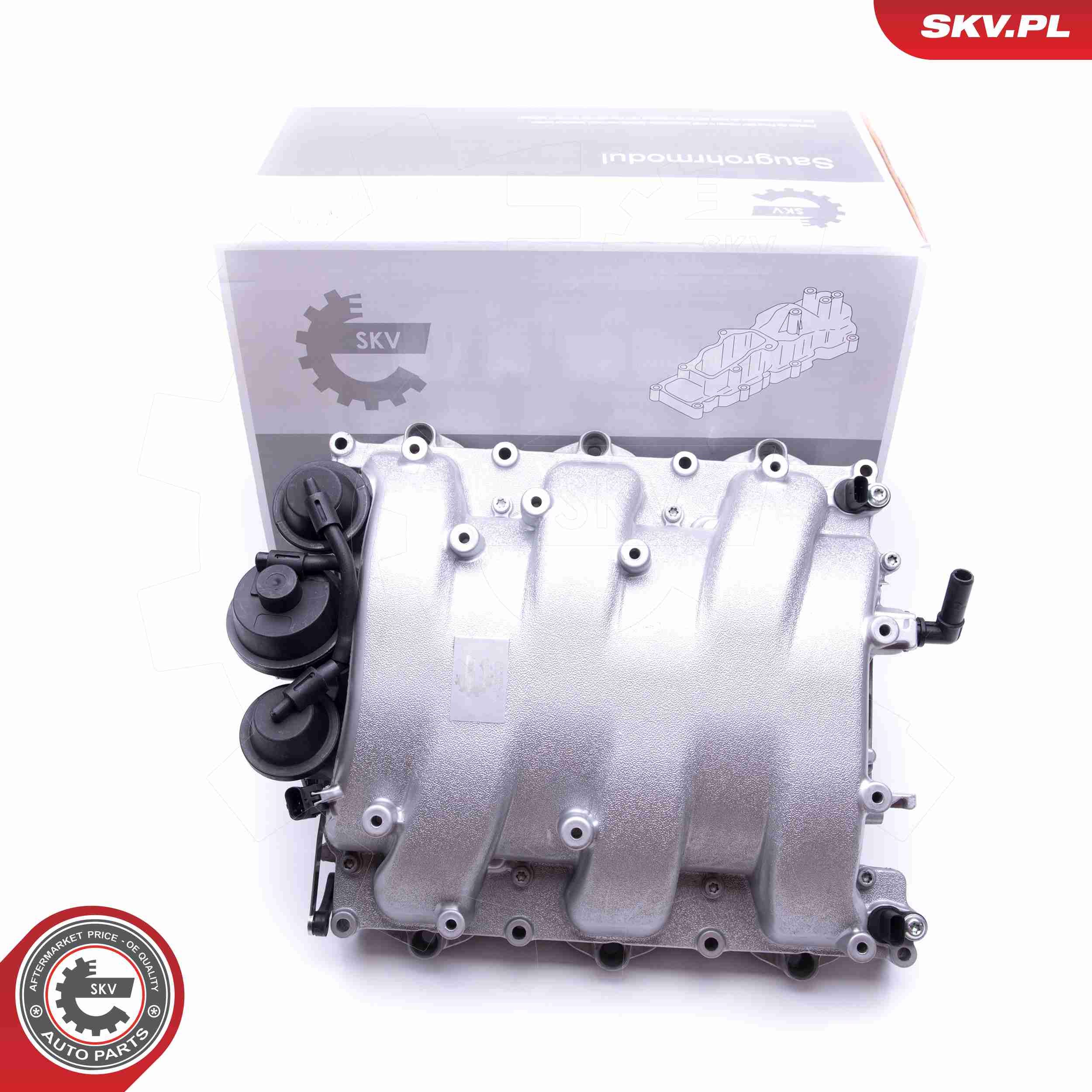 ESEN SKV 49SKV013 - Saugrohrmodul