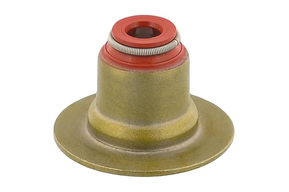Dichtring, Ventilschaft