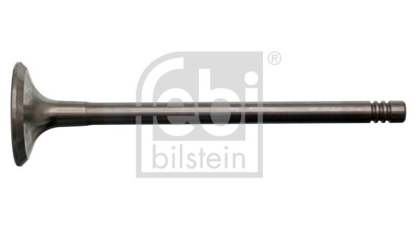 Exhaust Valve 17389