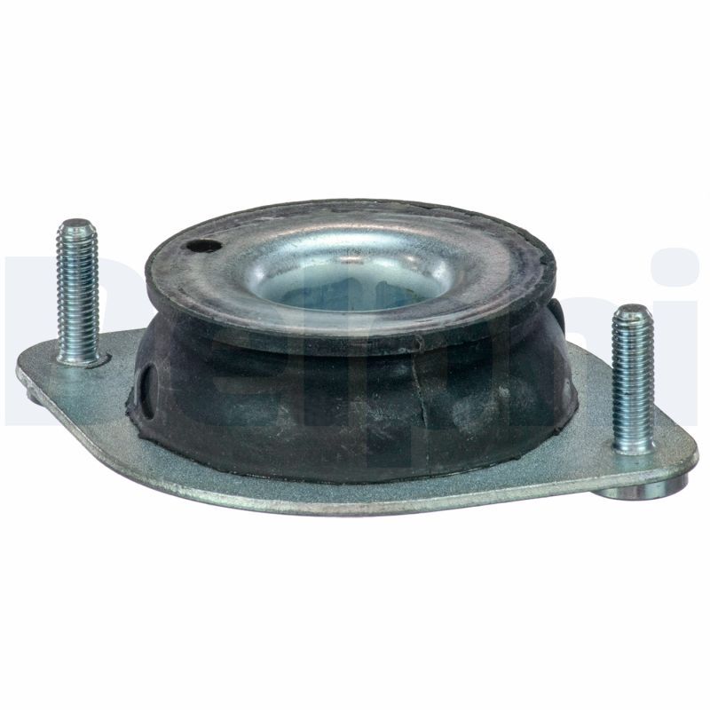 DELPHI TEM103 - Lagerung, Motor