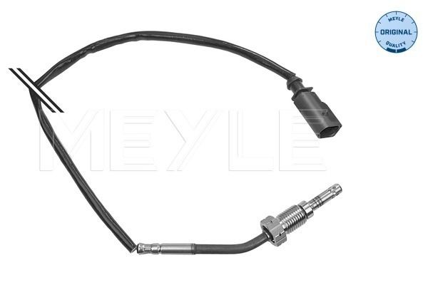 Sensor, Abgastemperatur
