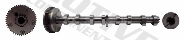 MOTIVE T2130 - Nockenwelle