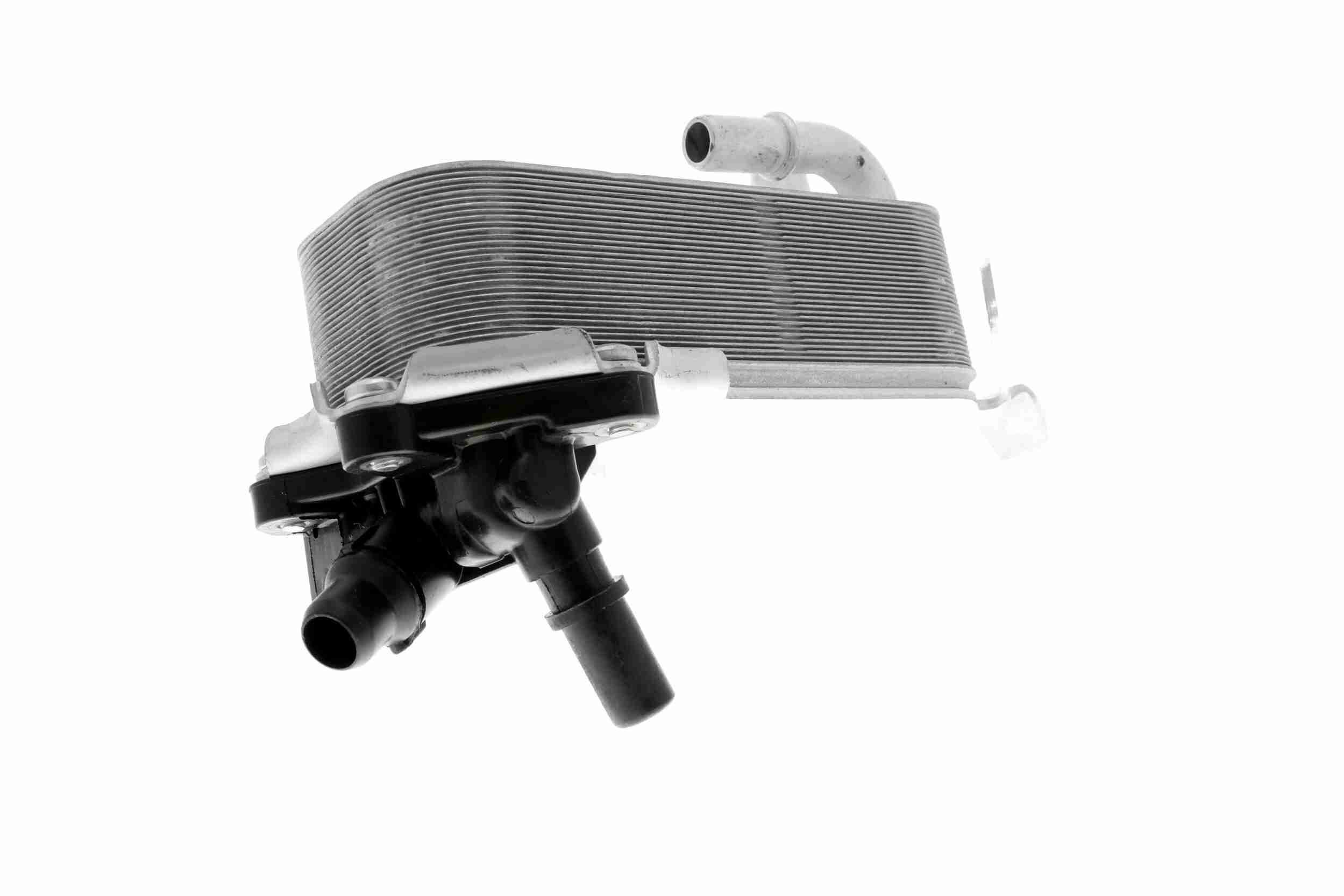 &Ouml;lk&uuml;hler, Motor&ouml;l