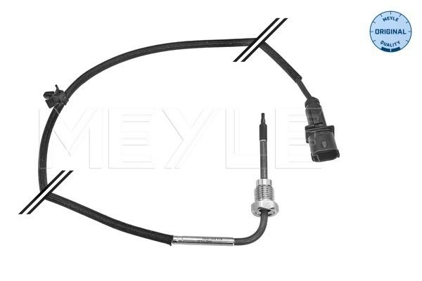 Sensor, Abgastemperatur