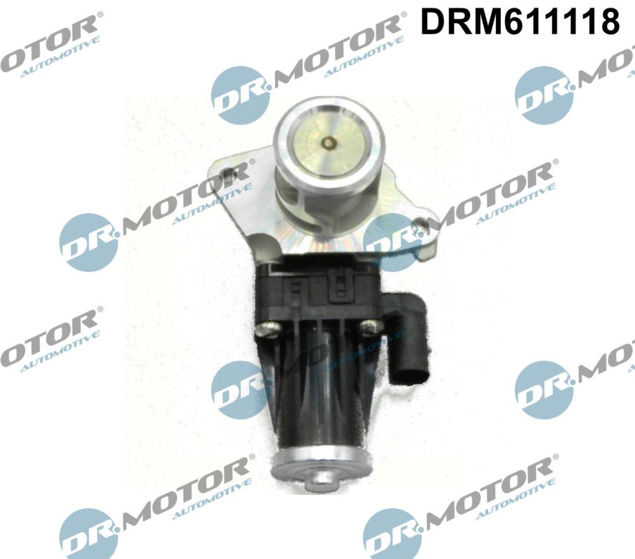 Dr.Motor Automotive DRM611118 - AGR-Ventil