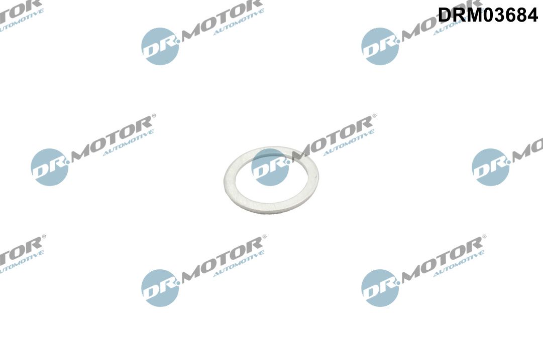 drm03684.JPG