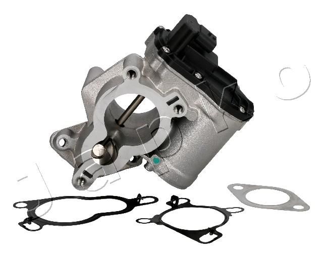 EGR Valve 150113