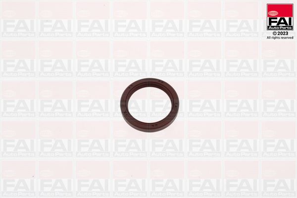 Wellendichtring, Kurbelwelle