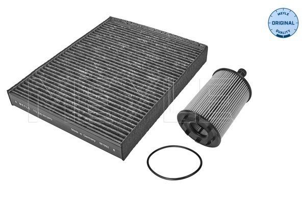 FS_1123300008SK_1.JPG
