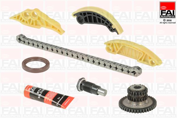 FAI AutoParts TCK179 - Steuerkettensatz