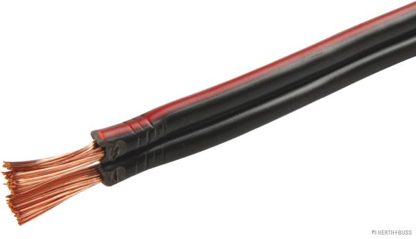 Elektroleitung