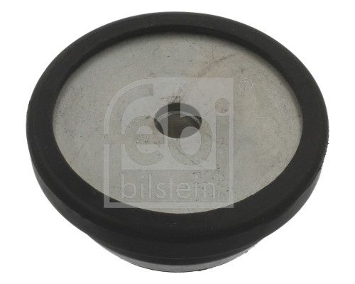 Federbeinst&uuml;tzlager