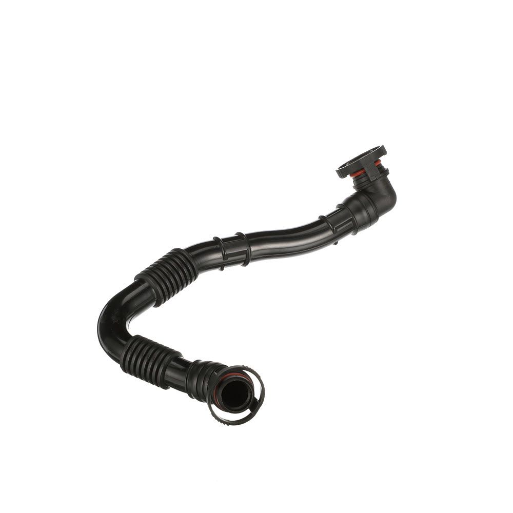 žarna, karterio alsuoklis