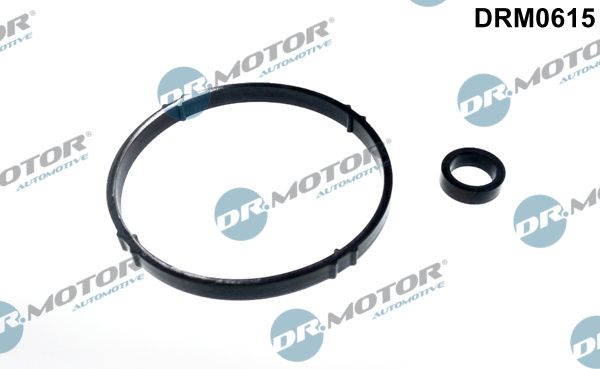 Dr.Motor Automotive DRM0615 - Dichtungssatz, &Ouml;lk&uuml;hler