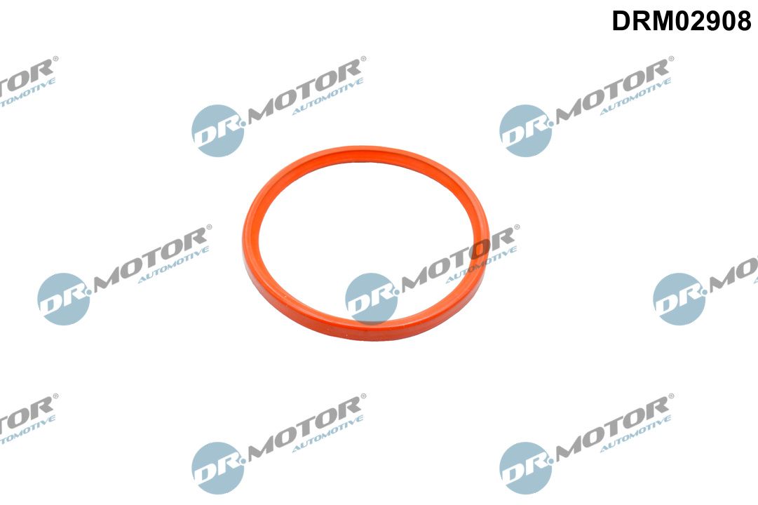 Dr.Motor Automotive DRM02908 Dichtring, Ladeluftschlauch