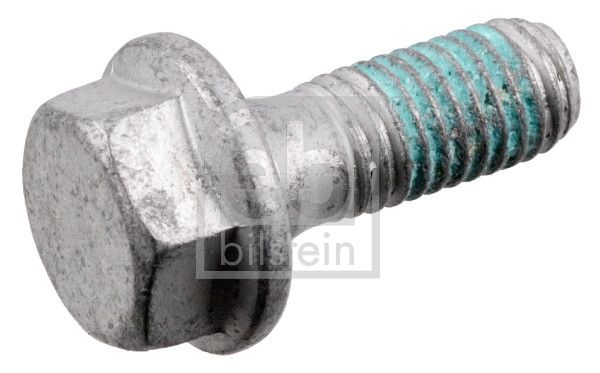 Schraube, Bremssattel