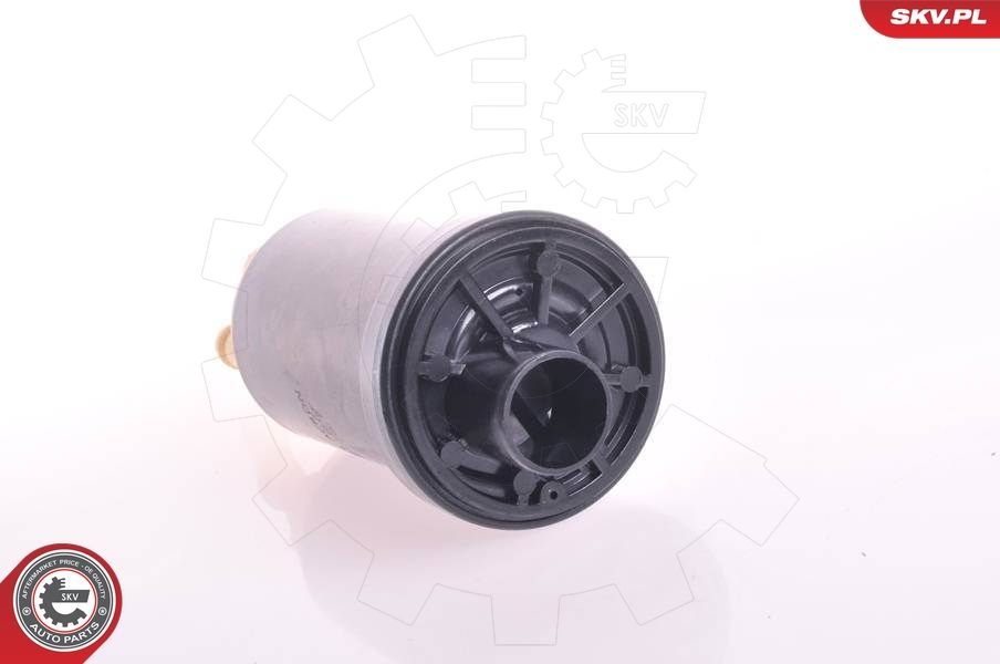 Fuel Pump 02SKV276