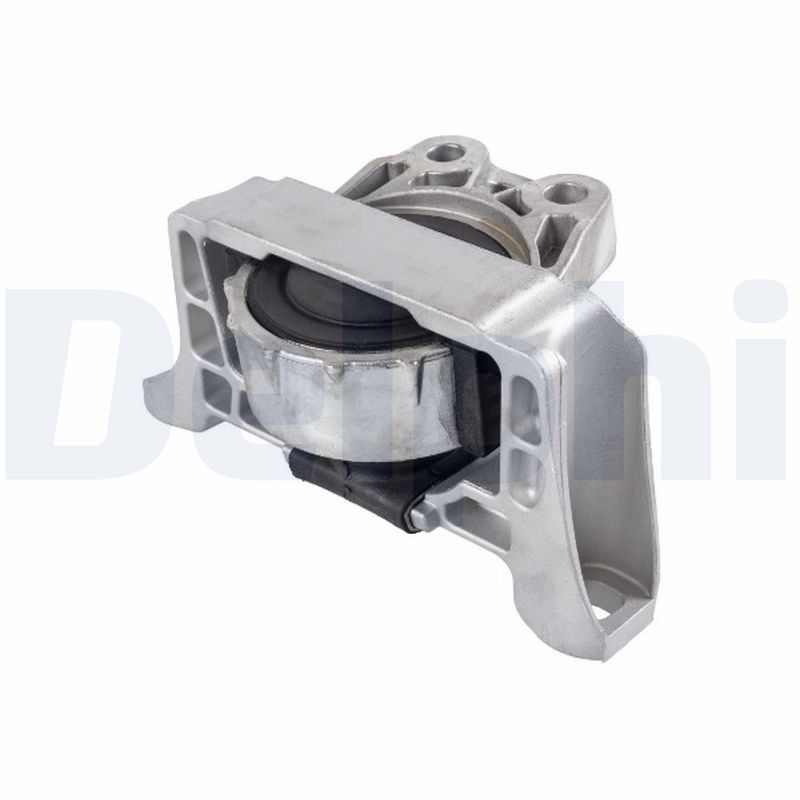 DELPHI TEM131 - Lagerung, Motor