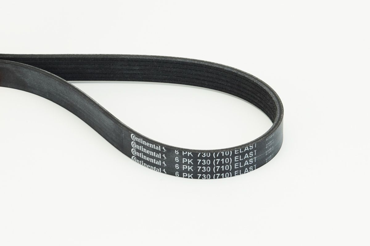 CONTINENTAL CTAM 6PK730 ELAST - Keilrippenriemen