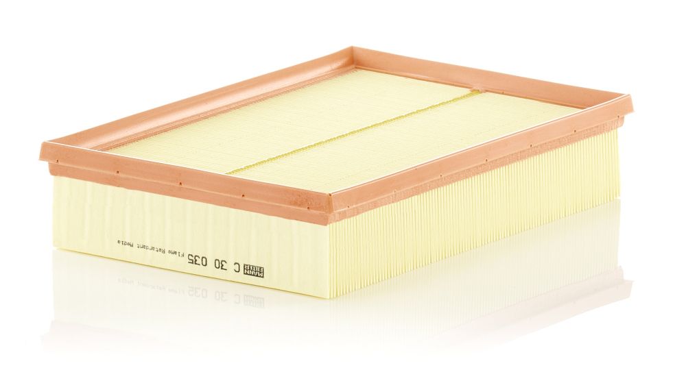 Air Filter C 30 035