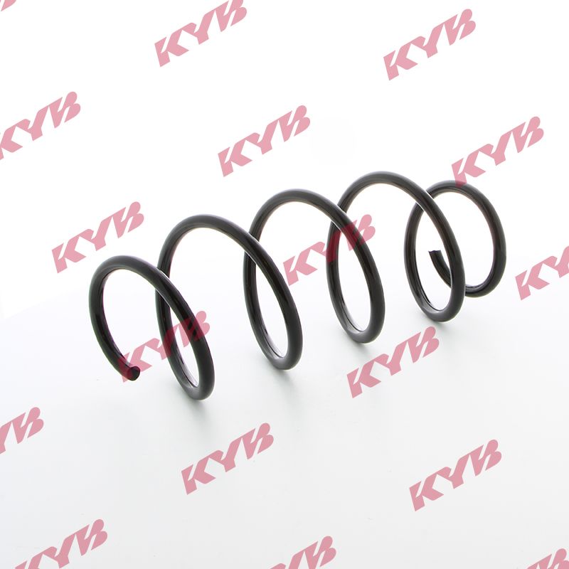 KYB_RA1009-0002.JPG