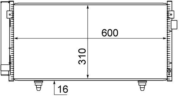 293412872.JPG