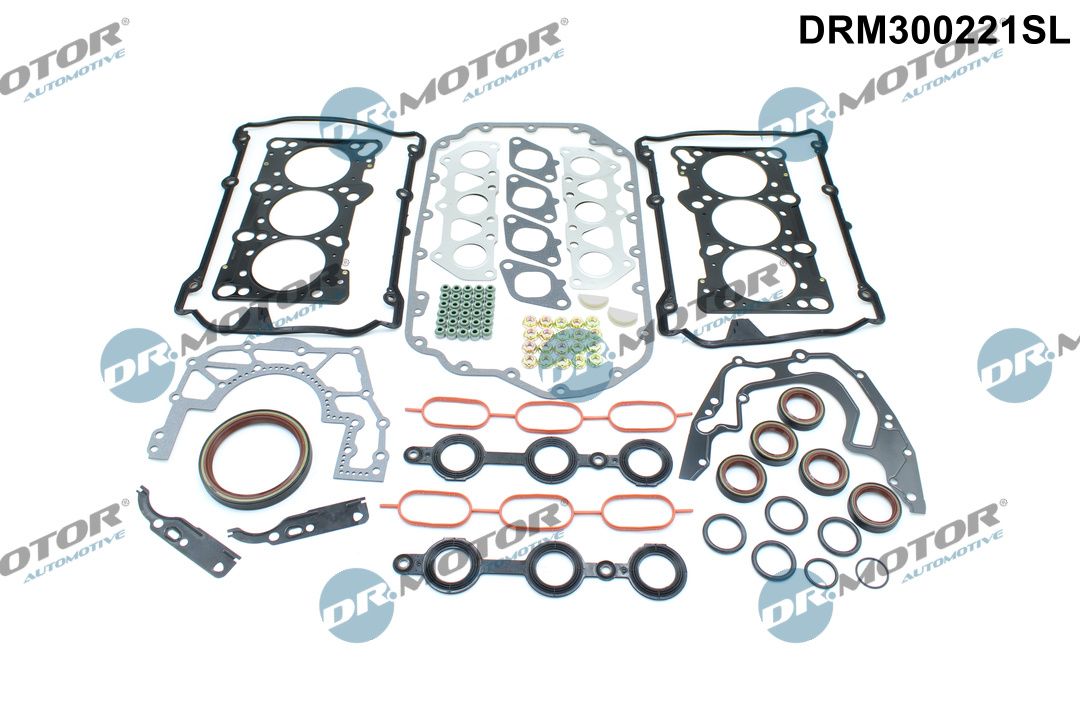 Dr.Motor Automotive DRM300221SL - Dichtungsvollsatz, Motor