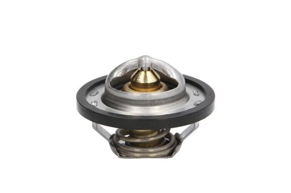 Thermostat, coolant D2R001TT