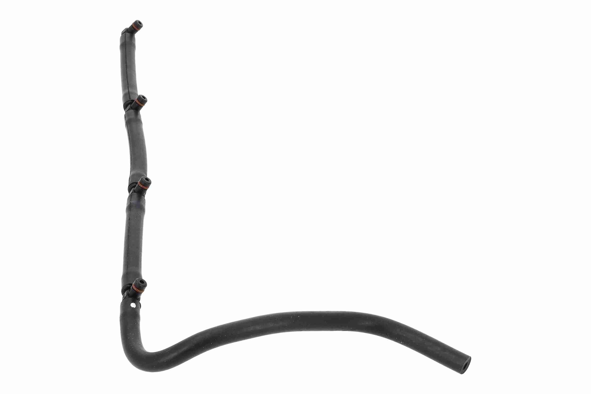 Schlauch, Leckkraftstoff