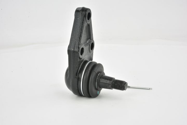 Šarnyras / girgždukas