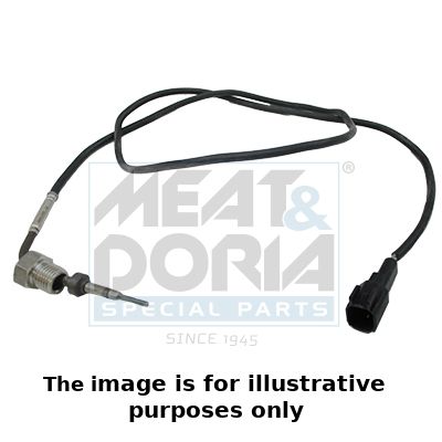 Sensor, Abgastemperatur