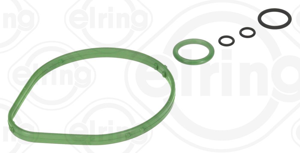 ELRING 306.250 - Dichtungssatz, Kurbelgehäuseentlüftung