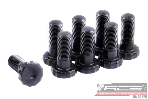 BOLT SET F/W DODG 10x1.0x25.6 (8) 73Nm - TecDoc Only